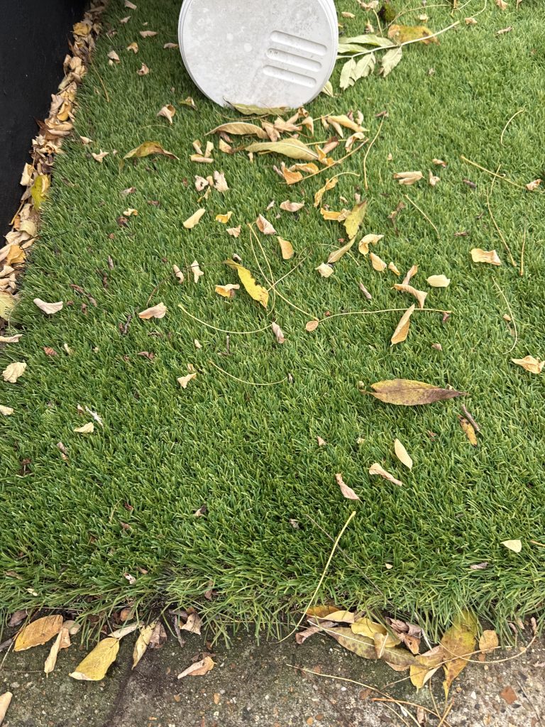 A picture of artificial grass with leaves on